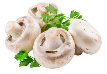 Wall Mural - A bunch of mushrooms and parsley on a white background