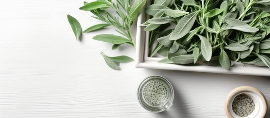 Aufkleber - Sage Essential Oil Bottles - Aromatherapy and Alternative Medicine Concept