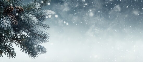 Poster - Serene Winter Scene: Pine Tree Branch Covered in Snowfall Amidst Tranquil Nature