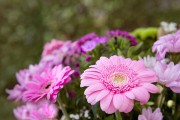 Wall Mural - Colorful mixed flower bouquet isolated on blur green background.