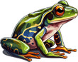 frog vector illustration isolated on transparent background. 
