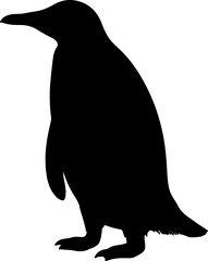 Wall Mural - penguin illustration isolated on transparent background. 