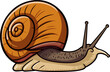 snail illustration isolated on transparent background. 
