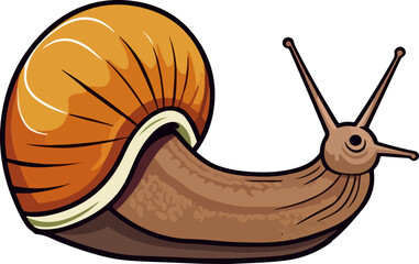 Wall Mural - snail vector illustration isolated on transparent background. 
