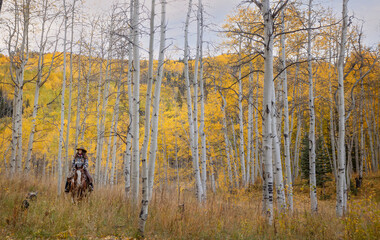 Wall Mural - Colorado Cowgirl