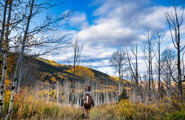 Wall Mural - Colorado Cowgirl