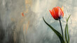 Red Tulip on Textured Background