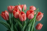 Fototapeta Tulipany - spring flowers banner - bunch of red tulip flowers on green background with copy space.