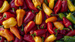 the vibrant hues and unique shapes of assorted chili peppers, ranging from mild to spicy varieties