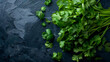 the vibrant hues of fresh cilantro and parsley against a dark backdrop