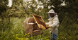beekeeper with honeycombs in hands in nature bee apiary.