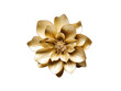 golden gold flower isolated on transparent background, transparency image, removed background