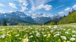 Meadow with flowers on andes alpine mountain