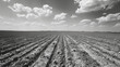 Black and white photo of a desolate plowed field with no crops under the parched rays of the sun