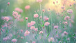 Gentle Pink Flowers in Bokeh
