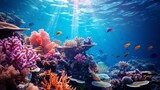 Fototapeta Do akwarium - Underwater coral reef, marine life