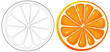 Illustration of orange in two different styles.