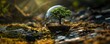 © olz - Tree Inside a Transparent Bubble on the Moss Ground