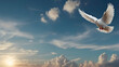 sky funeral background with white dove, copy space for text