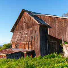 Wall Mural - the abandoned barn