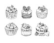 Hand drawn cupcakes clipart. Vector dessert illustrations on white background. Vintage style cupcakes with berries