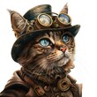 steampunk cat isolated on a white background