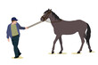 vector illustration of a man pulling a horse by the reins. Isolated on a white background. The theme of equestrian sports, farming, veterinary medicine and animal husbandry
