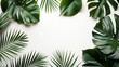 Tropical leaves green leaves isolated on green color background, copy space. 