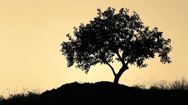 Silhouette of the parable of the fig tree that did not bear fruit