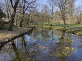 Fototapeta Natura - Halberstadt - Die Natur erwacht