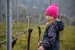 A child stands among vineyards and a beautiful landscape