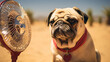 Heat stroke is a symptom in pugs caused by extremely h