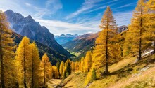 perfect top view of yellow larch trees in a mountain valley south tyrol italy europe