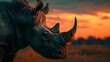 a cinematic and Dramatic portrait image for rhinoceros