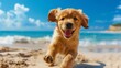 A joyful dog enjoying a carefree run on the sandy beach with ample room for text placement