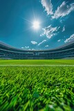 Fototapeta Koty - modern stadium with green grass and blue sky