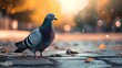 a cinematic and Dramatic portrait image for pigeon