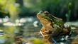a cinematic and Dramatic portrait image for frog