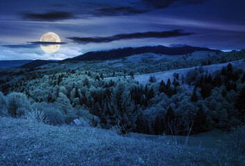 Canvas Print - carpathian countryside at night. forested hills and grassy meadows in full moon light