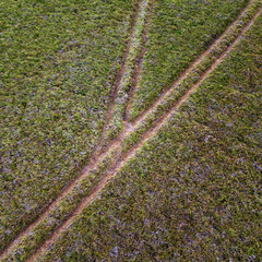 Crop field with two tracks splitting apart