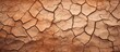 Cracked desert soil represents dryness and parched conditions symbolizing the concepts of ecology conservation and cosmetology