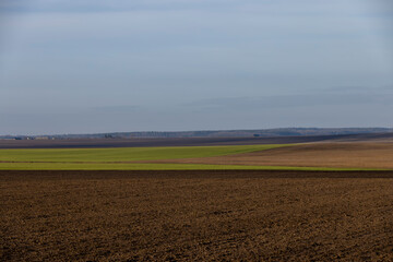 Wall Mural - agricultural fields in winter after the snow melts