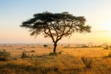 Fototapeta Sawanna - Savannah Sunrise: Stunning View of Trees and Grasslands