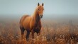 A majestic palomino horse stands in a misty, golden field highlighted by soft morning light. 