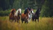 A dynamic image of five horses running through a field with a forest backdrop, perfect for conveying freedom and power in nature 