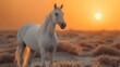 A majestic white horse stands gracefully in the desert with a golden sunset backdrop. 