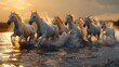 Majestic white horses galloping through water at sunset, kicking up spray and exuding a sense of freedom and power. 