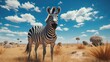 A zebra organizing her own modeling agency in the steppe