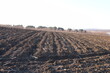 A field of dirt