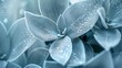 Crystal Cold: Yucca's leaves sparkle with crystal coldness, a delicate frost adorning each petal.